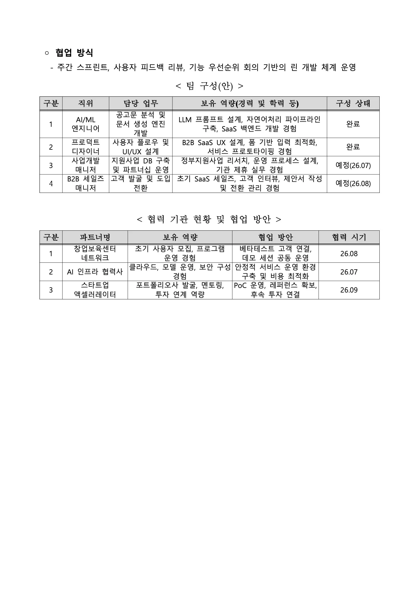 독스헌트로 생성한 예비창업패키지 사업계획서 14페이지